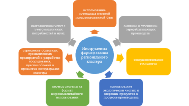 Photo of Основы эффективного управления бизнес-кластером